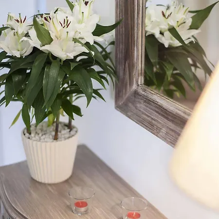 Operetta House Apartment *
